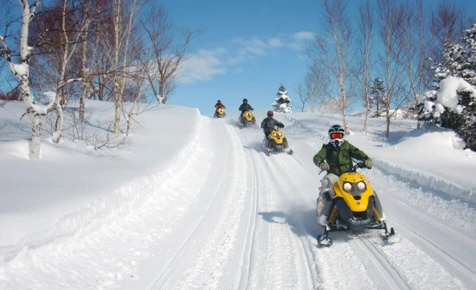 Snowmobile tour through snowy birch forest